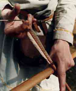 * A closup of a nocked arrow showing the fletchings in detail