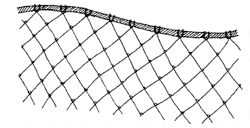 *Fishing net
